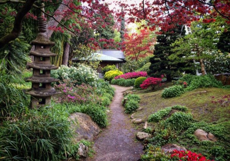 Le jardin AlbertKahn, une pépite de verdure à la porte de Paris