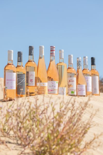 Les Vins Sable de Camargue, quand la nature façonne un vin d’exception.