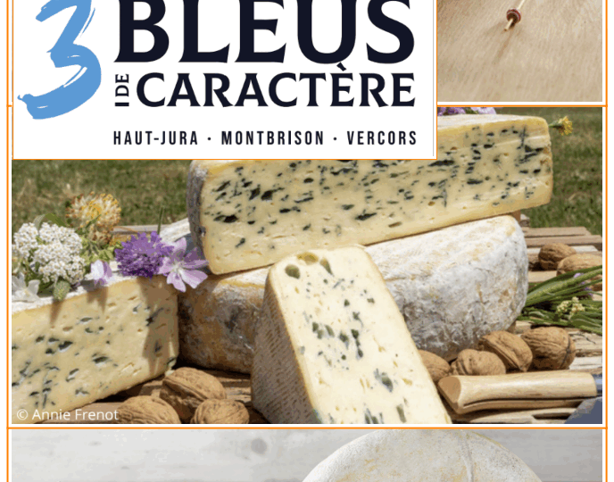 Trois Bleus de Caractère s’exposent au Musée du Fromage à Paris.