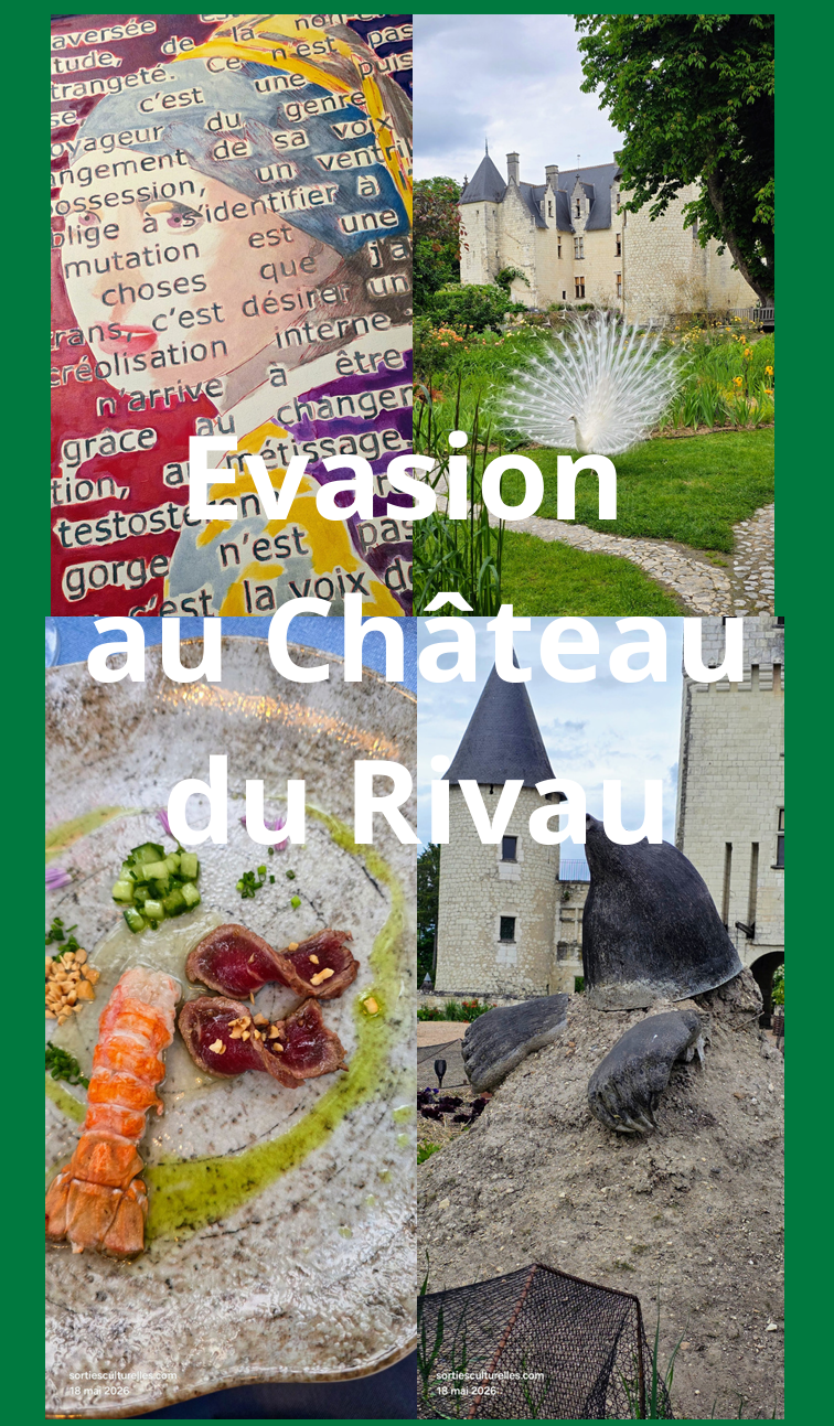 Évasion en Val de Loire, la féérie du Château du Rivau.