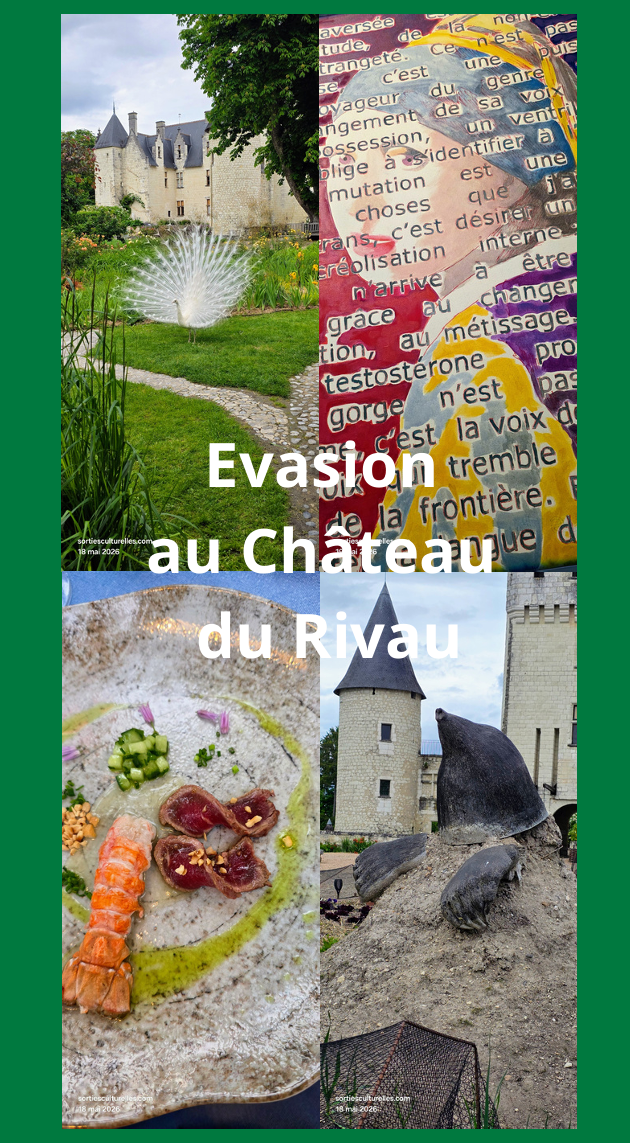 Évasion en Val de Loire, la féérie du Château du Rivau.