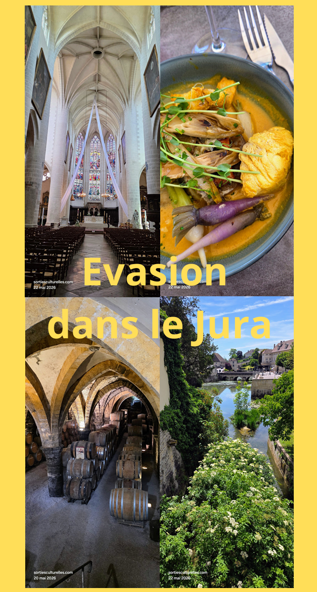 Évasion dans le Jura : à la découverte des trésors culturels et gastronomiques