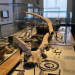 2 Musée du Vin de Champagne et d’Archéologie régionale (6)