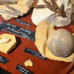 4 La Cave aux Coquillages (17)
