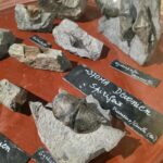 4 La Cave aux Coquillages (20)