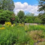 Cabanes et Jardins de la Presle (11)
