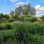 Cabanes et Jardins de la Presle (4)